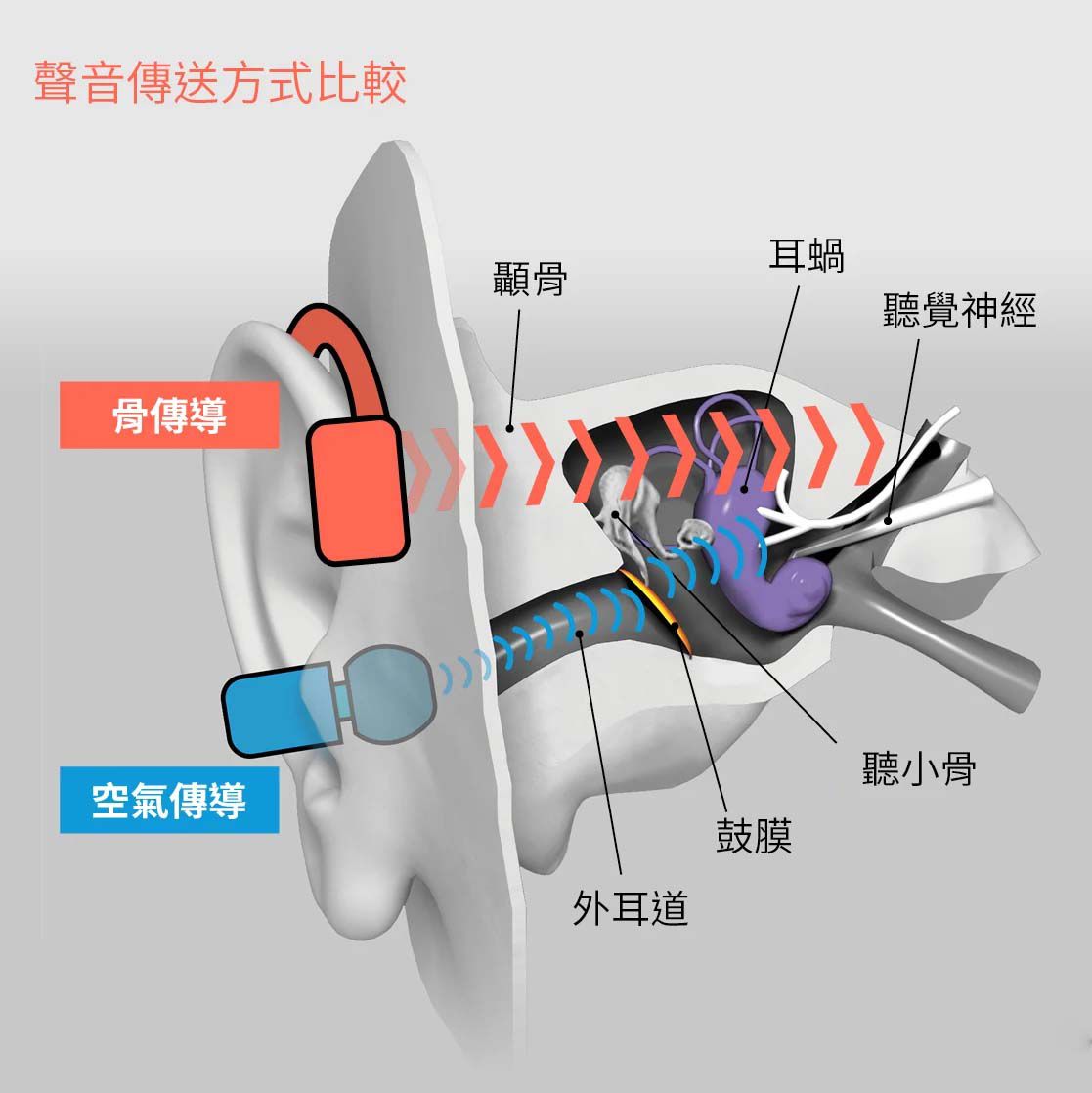 GS System • 文字及圖片