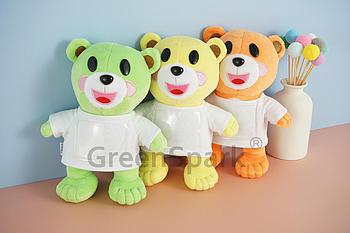 Client Reference Photo for 崇真小學暨幼稚園