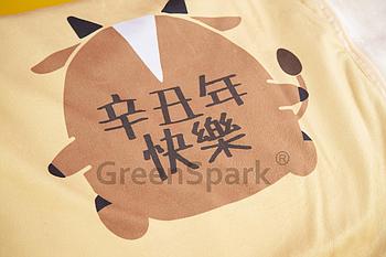 仁愛堂香港台山商會長者鄰舍中心 兩用抱枕保暖毯 TW547