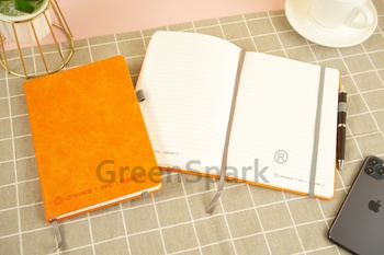 Client Reference Photo for Ledvance Prosperity Company Limited