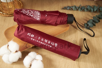 Client Reference Photo for 東華三院呂潤財紀念中學