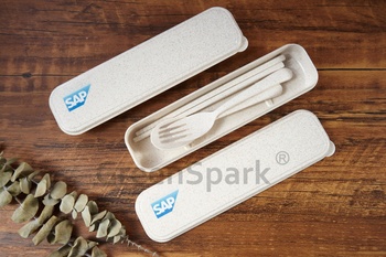 Client Reference Photo for SAP