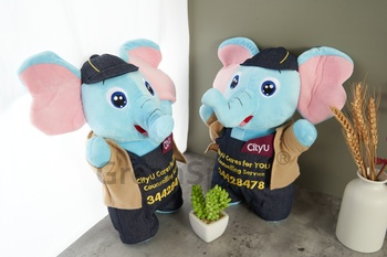 Client Reference Photo for 香港城市大學