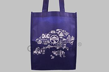 Client Reference Photo for 香港嶺南大學