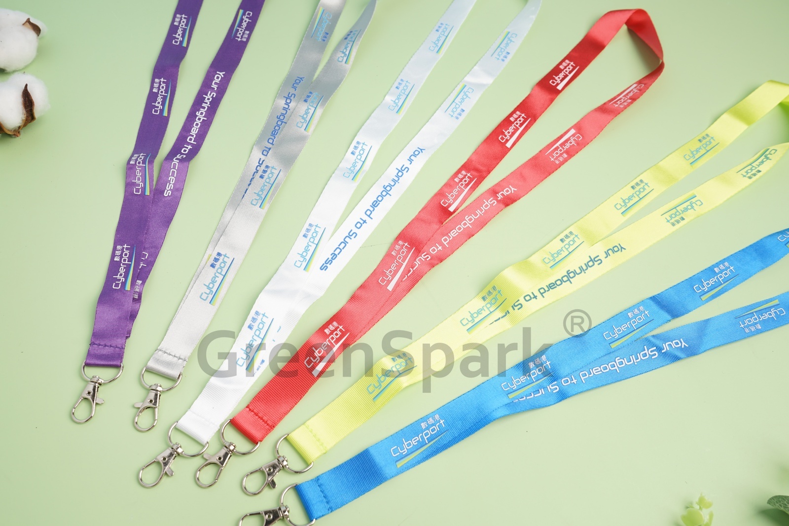 數碼港 Clear ID Holder with Lanyard ST027